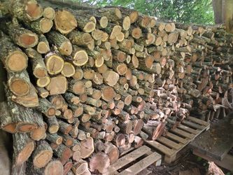 Mesquite,Oak and Pecan for sale