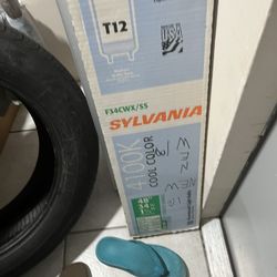 Sylvana Light Fixture Bade With Bulbs 