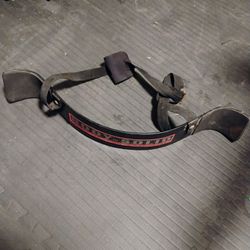 Body Solid Arm Buster