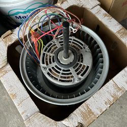 Furnace Motor And Blower 