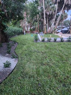 Sod green