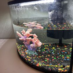 Fish Tank