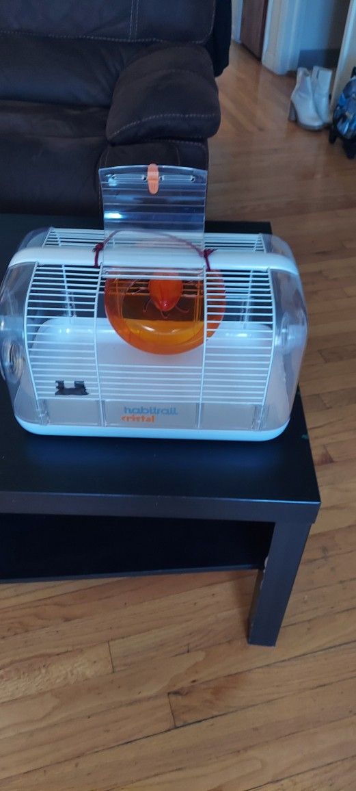Jaula De Janster Con Su Rueda Jiratoria