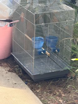 Bird cage for big parrot
