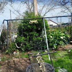 Swing Set