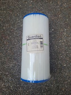 New Guardian Filter for Hottub