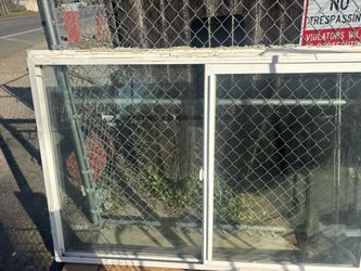 Window 