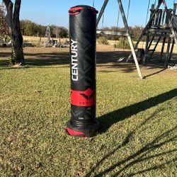 Punching Bag 