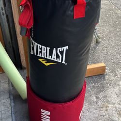 Omi Everlast Punching Bag
