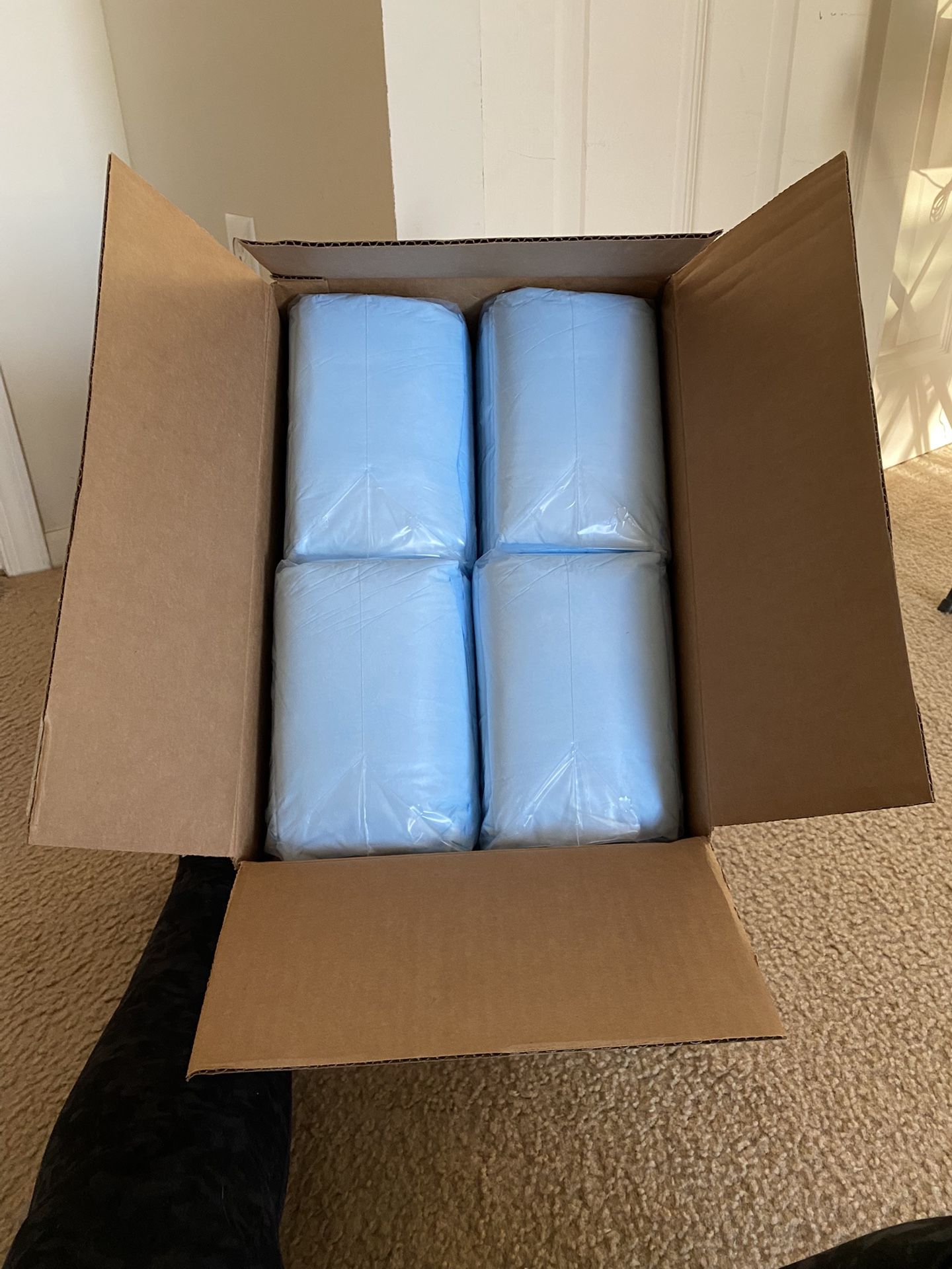 Disposable Underpads $30 Each Box $10 Each Pk