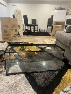 Lizard Kit For Sale. I’ll Sell For Anything Over 130