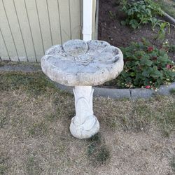 Bird Bath