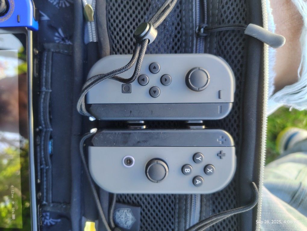 Nintendo Switch Joy-Cons (L-R) Wireless Controller - Gray