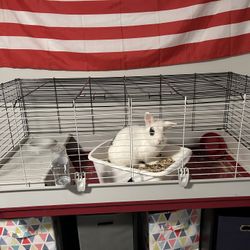 Extra Large Bunny Cage