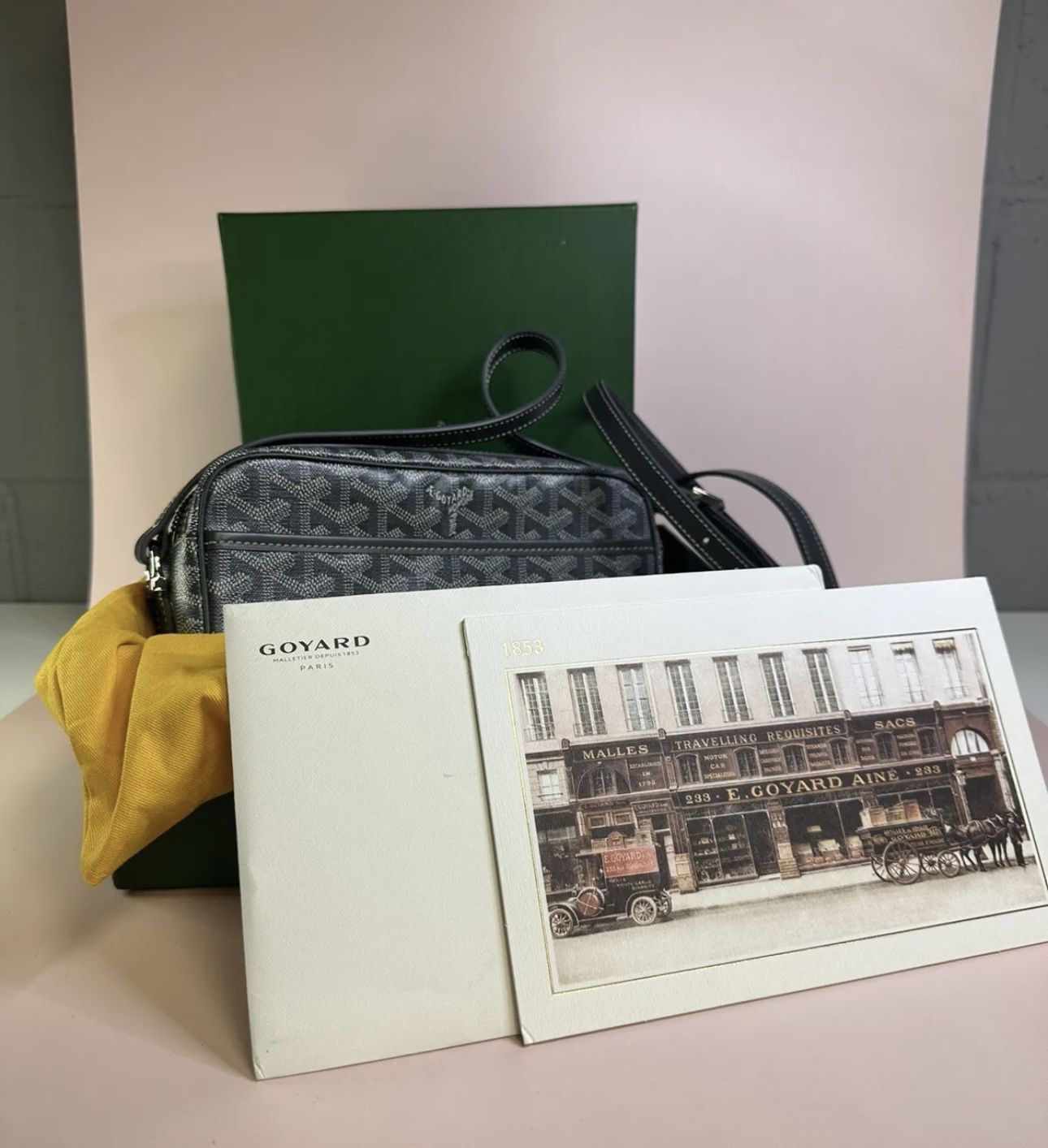 Goyard Cap-Vert Grey PM Bag – AO XCLUSIVE