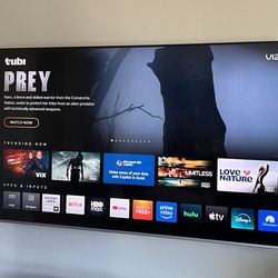 75” 4K Vizio TV