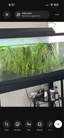 CHEAP FULL SETUP EVERYTHING IN PIC