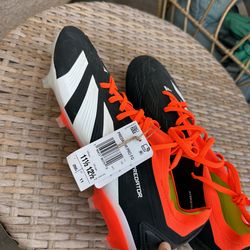 Adidas predator pro dog