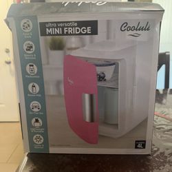 Mini Fridge 
