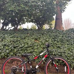 Guardian Ethos 24” Kids Bike (7–11 Years) - Lightweight Bicycle Hybrid