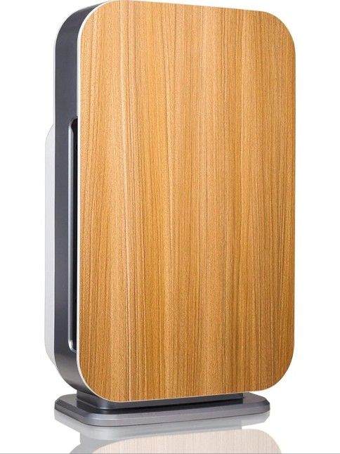 Air Purifier