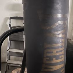 Everlast Punching Bag Set