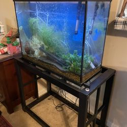 Beautiful 40 Gallon Aquarium With Stand