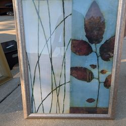 Framed Picture