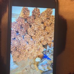 Fire Kindling  $6 Each