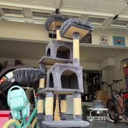 Cat House 