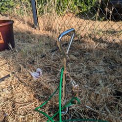 Dog Runner With Stake