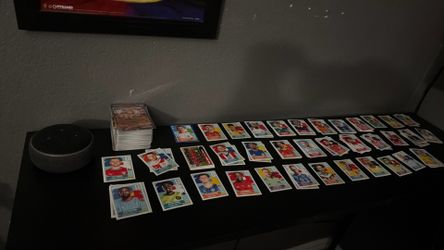 Panini World Cup stickers