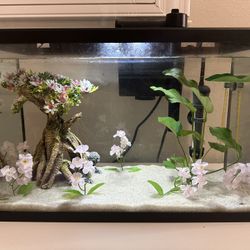 5g Fish tank & test kit (ready for fish)
