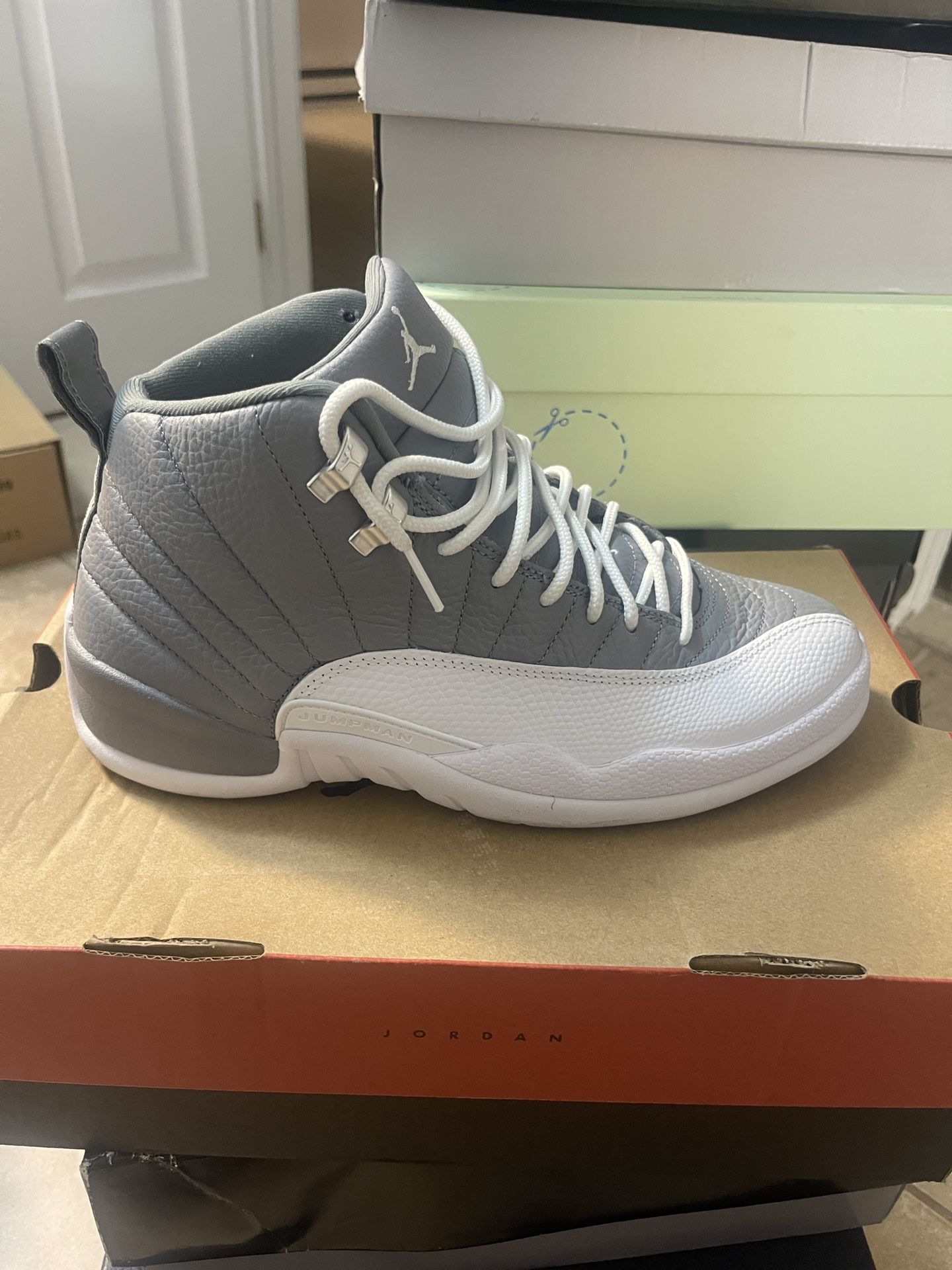 Air Jordan 12 Retro 