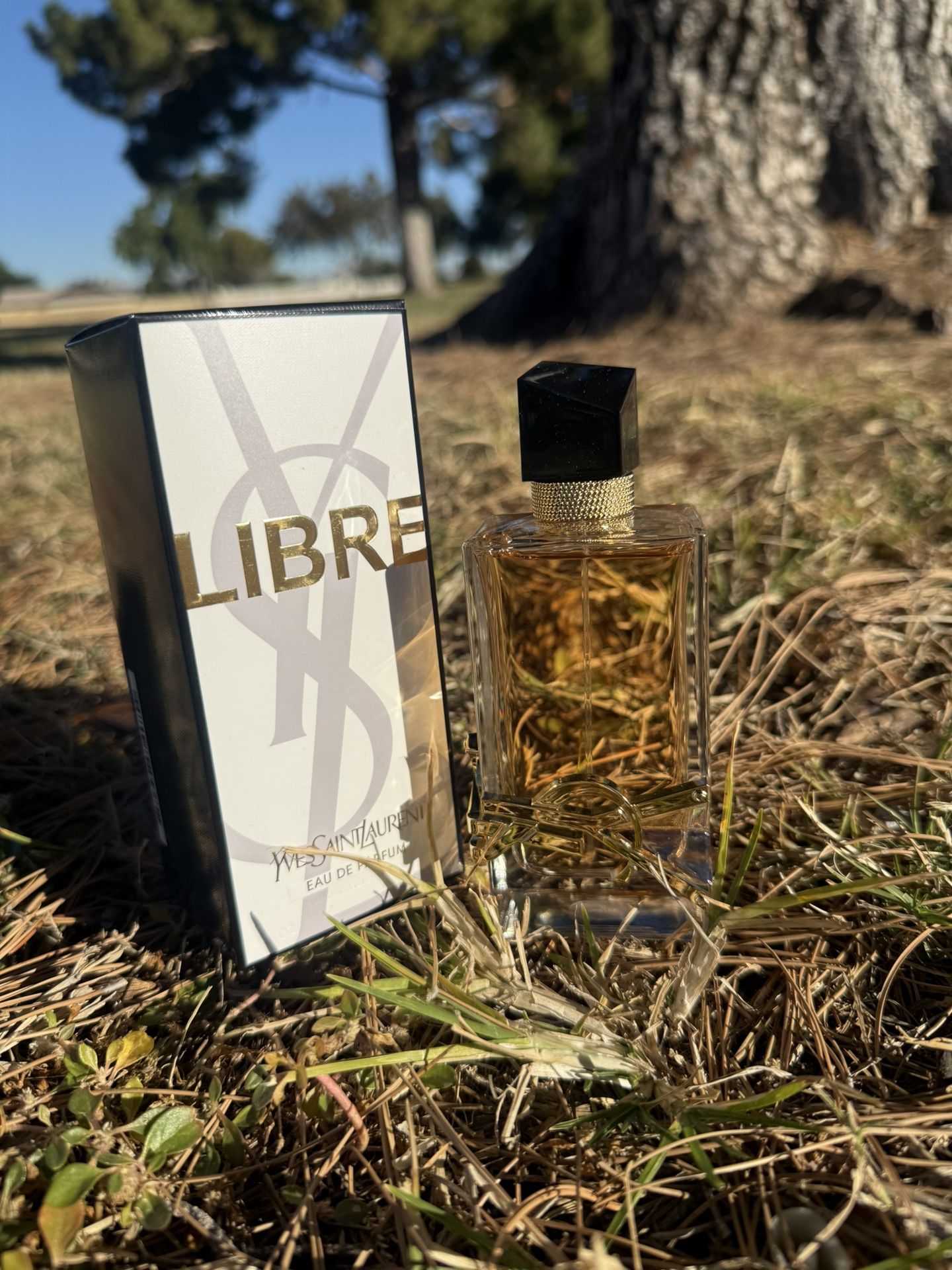 YSL Libre