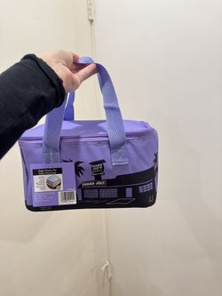 Trader Joe’s mini insulated bags 