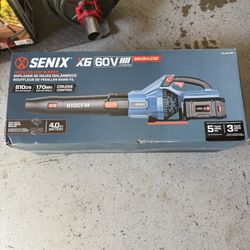 Cordless Leaf Blower