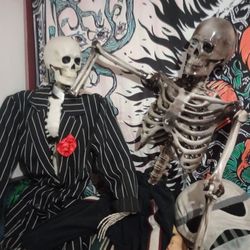 Two Life. Size Skeletons 