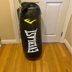 Everlast Punching Bag