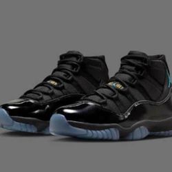 Jordan Gamma 11 Brand New 