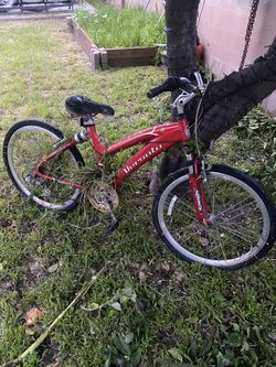 Mountain bike