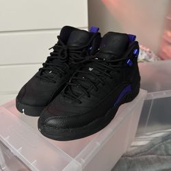 Jordan 12 Dark Concord