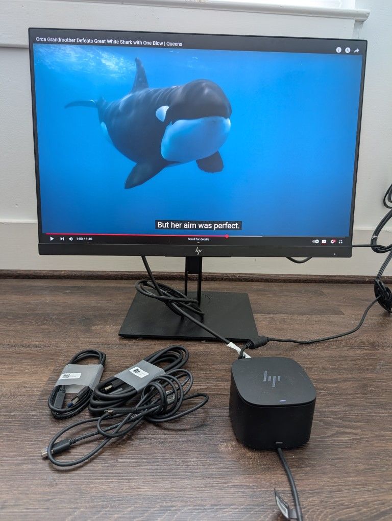 20" HP Monitor + WFH Docking Station