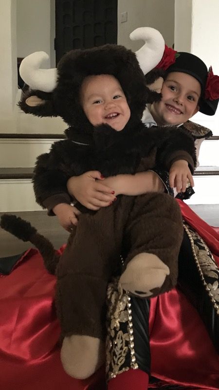 Baby bull costume 12 months. Handmade