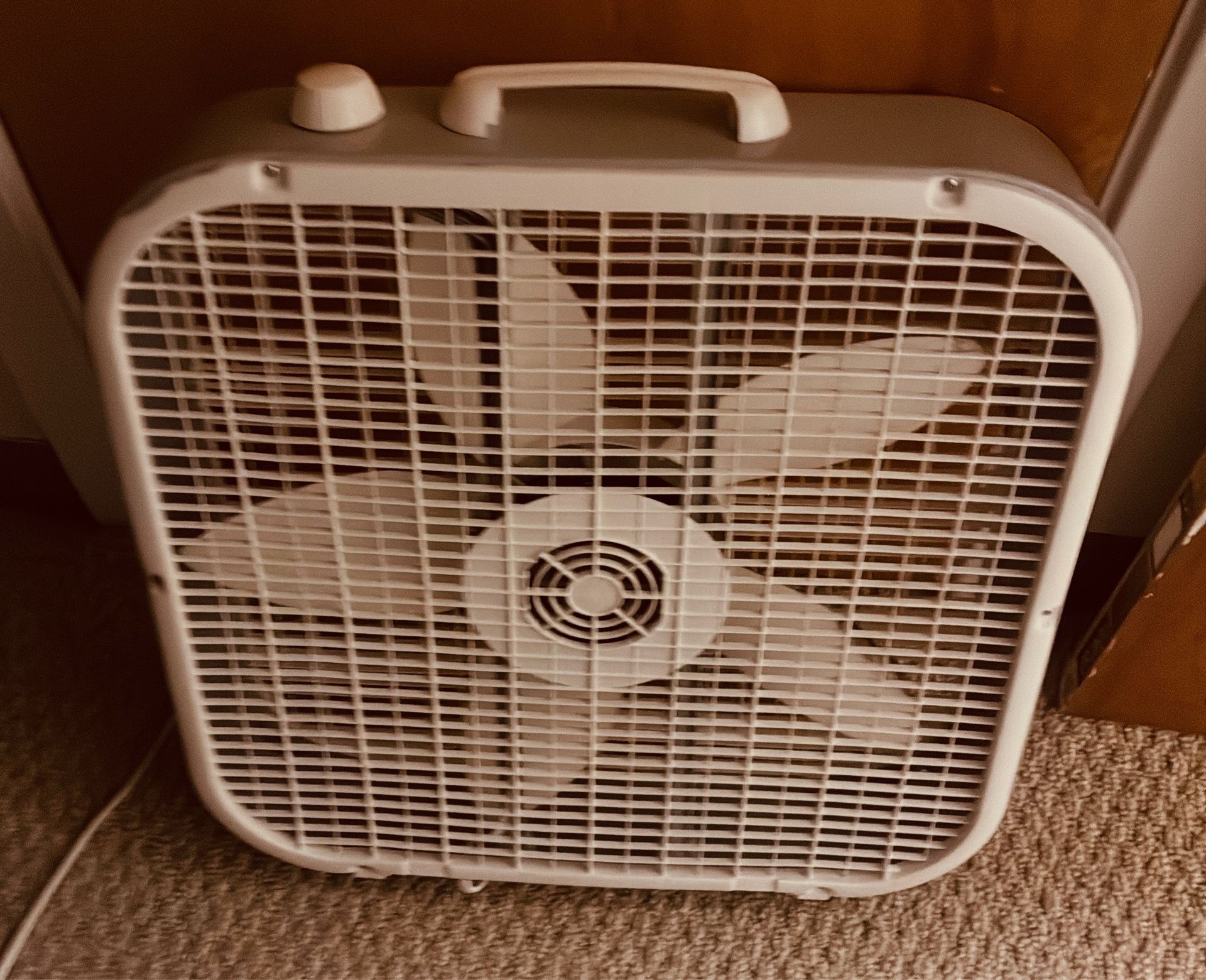 Two Fans Full Size