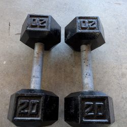Pair 20 Lb Dumbbells