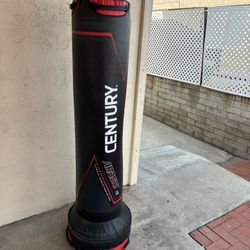 Century Boxing bag 