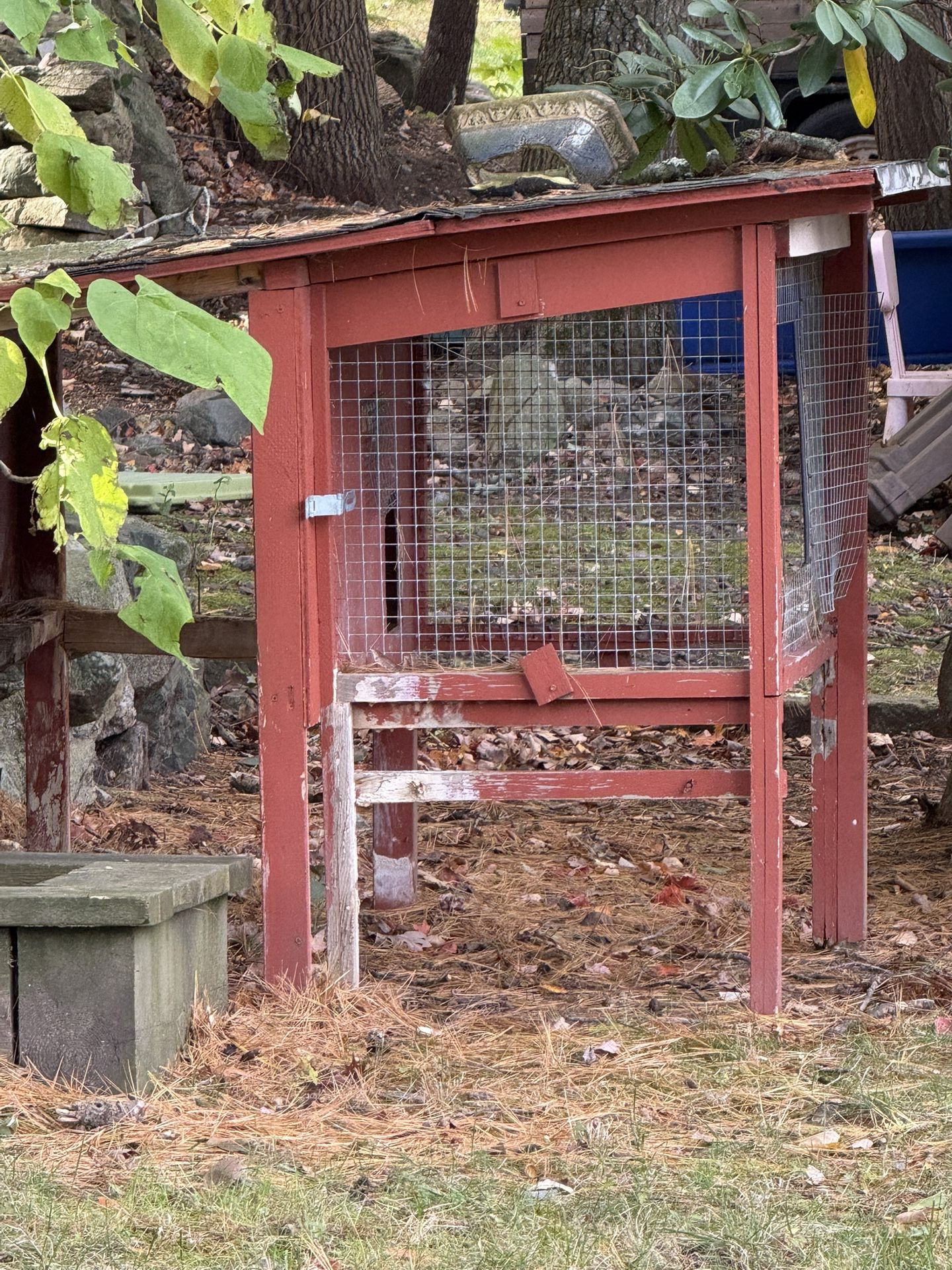 Free Jacuzzi, Chicken Coop , Duck House