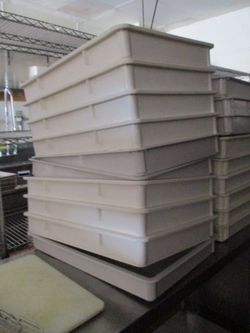 (10) Commercial Dough Proofing Trays