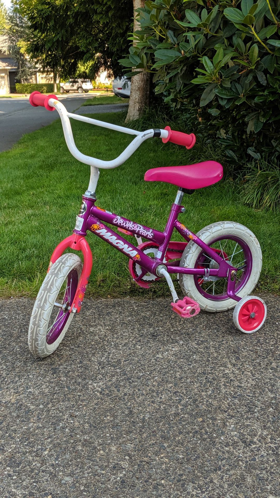 Girl 12 inch bike